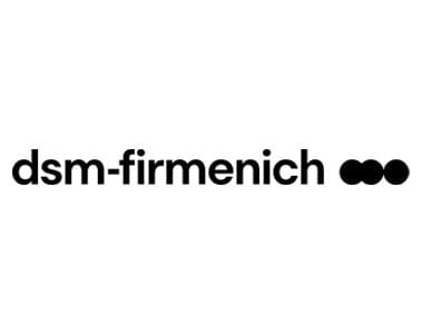 DSM logo 2