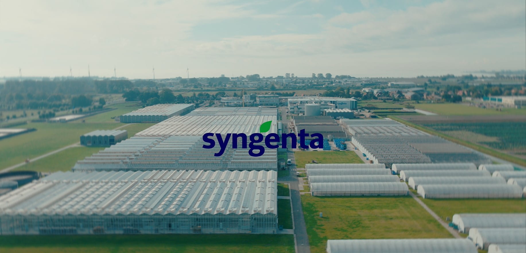Werken bij Syngenta